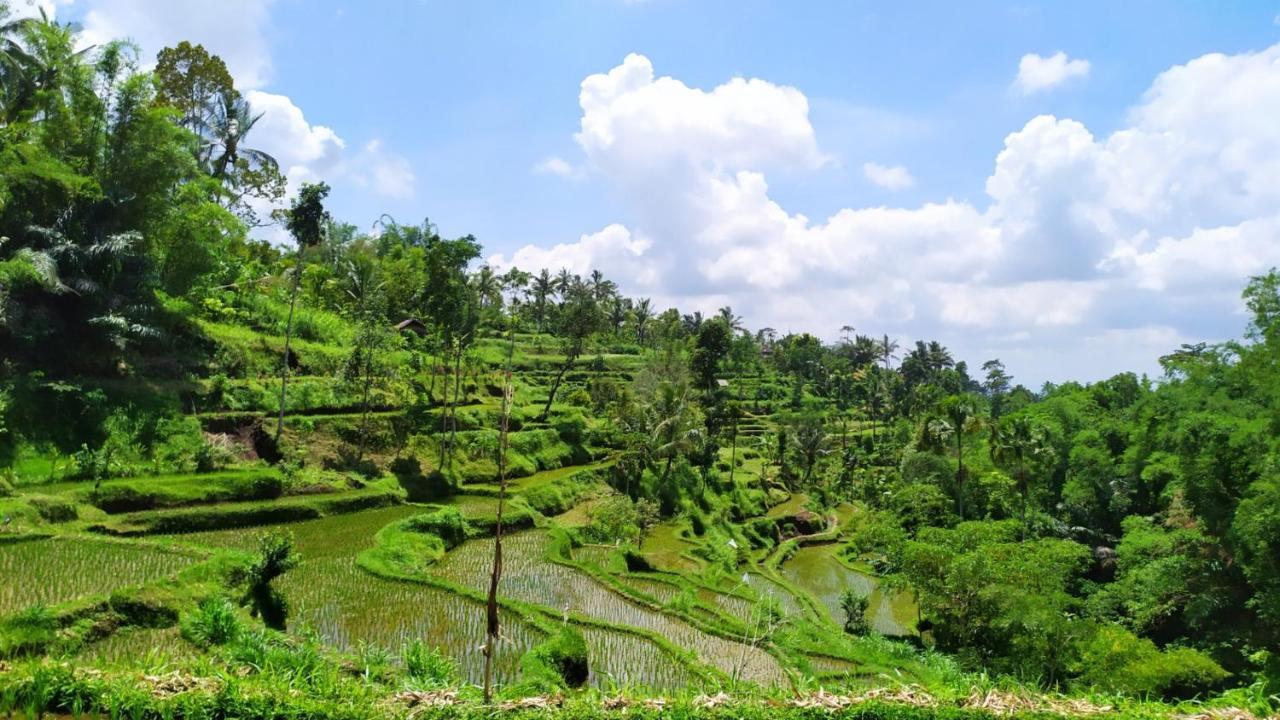 Novia Guest House Lombok-เตเตบาตู ภายนอก รูปภาพ