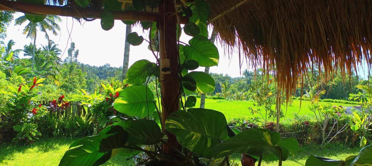 Novia Guest House Lombok-เตเตบาตู ภายนอก รูปภาพ
