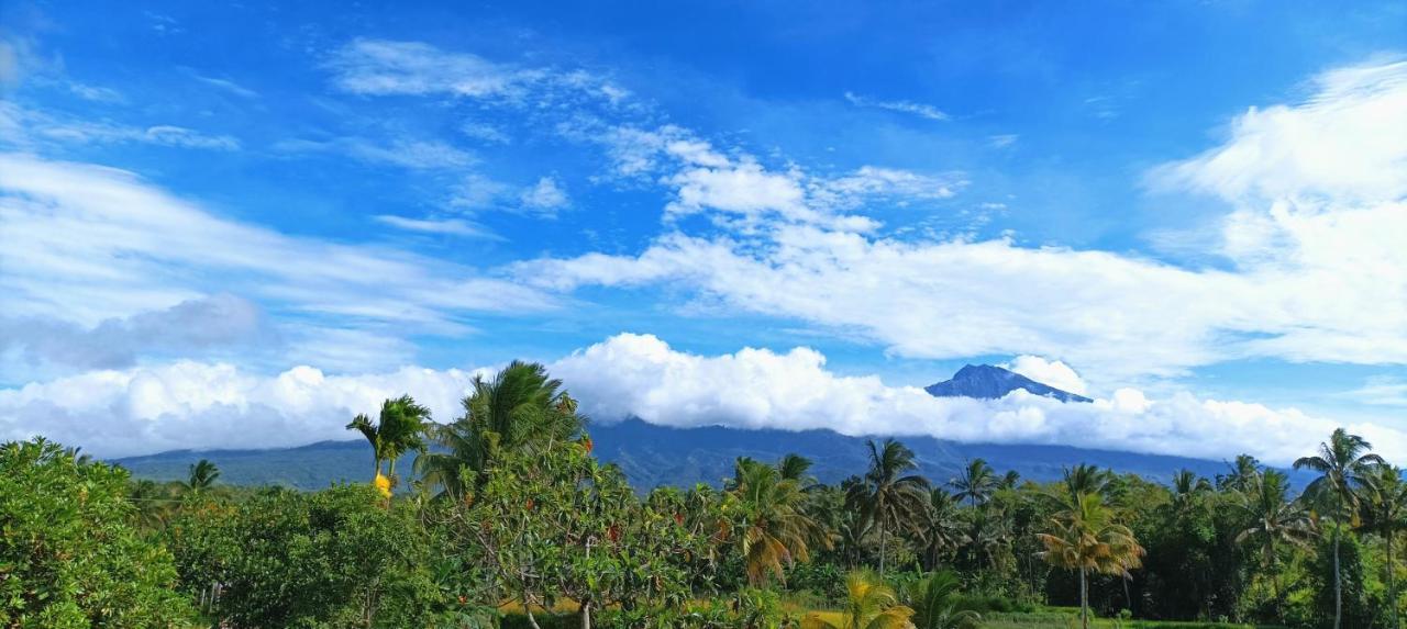 Novia Guest House Lombok-เตเตบาตู ภายนอก รูปภาพ