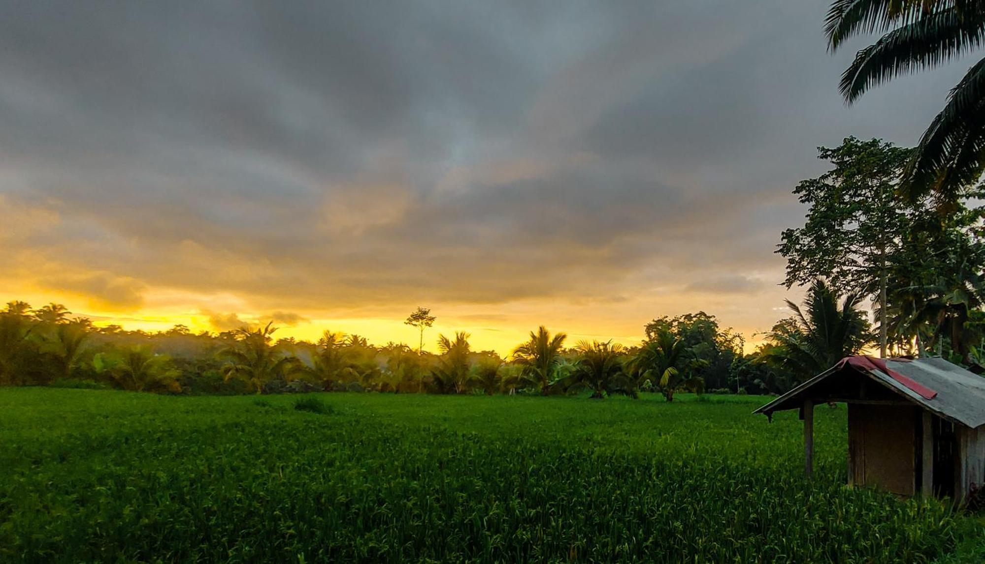Novia Guest House Lombok-เตเตบาตู ภายนอก รูปภาพ
